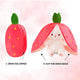 Strawberry Plushie