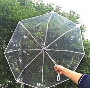 Transparent Umbrella