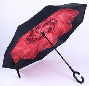 Reverse Umbrella